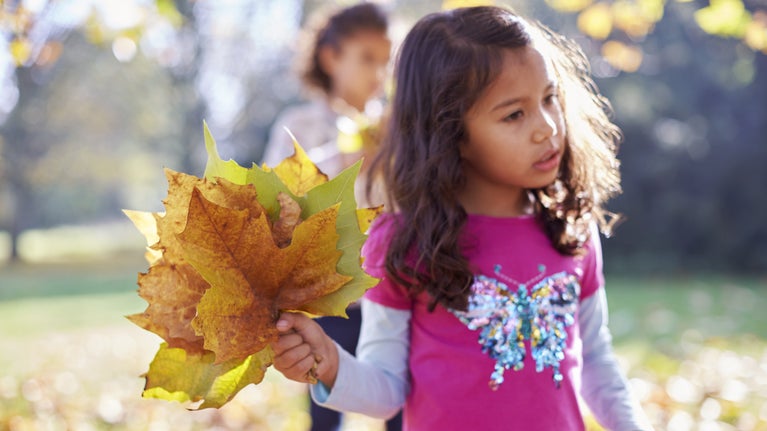 A child holding a bunch of autumn leaves at Morden Hall Park, London.